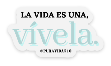 "la vida es una vivela" sticker